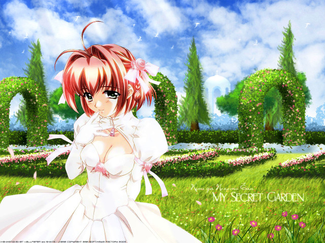 Anime girl white dress flower free wallpaper for desktop - medium preview image