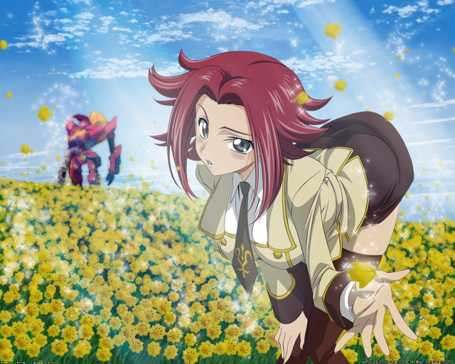 Girl flower field anime kallen free wallpaper for desktop - medium preview image