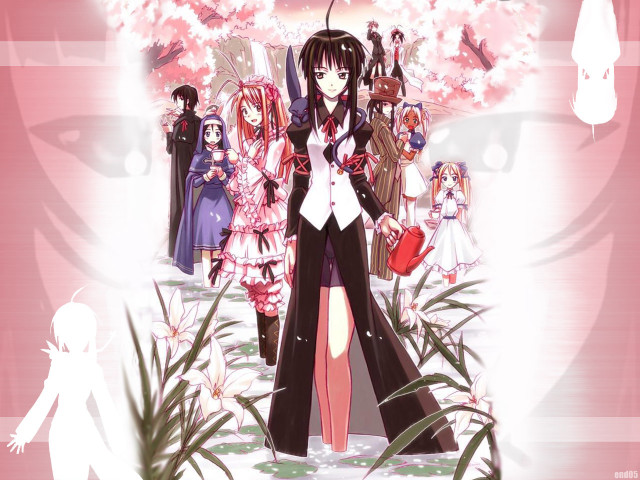 Anime girls cherryblossoms spring hanami free wallpaper for desktop - medium preview image