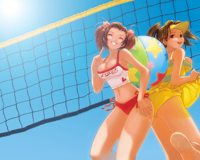 Beach volleyball women bikinis sky free wallpaper for desktop - medium preview image