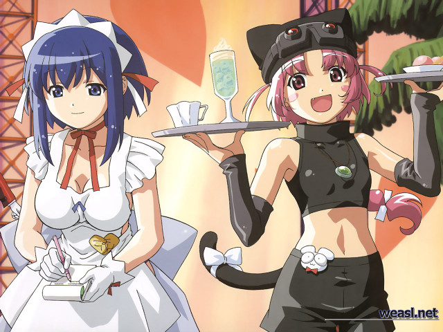 Anime maid catgirls food tray #2 free wallpaper for desktop - medium preview image