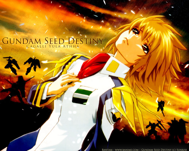 Anime blonde yellow jacket sunset free wallpaper for desktop - medium preview image