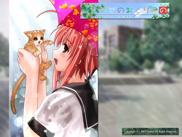 Girl cat umbrella rain blurry free wallpaper for desktop - medium preview image