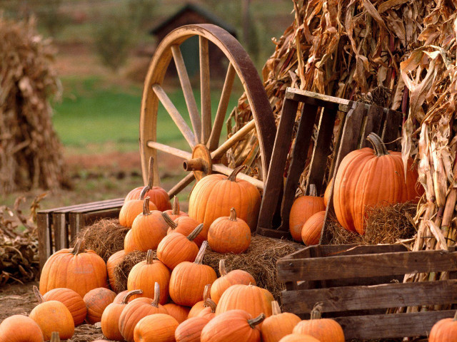 Pumpkins hay wagon autumn folk free wallpaper for desktop - medium preview image