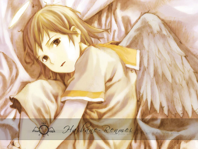 Angel wings yellow shirt bed free wallpaper for desktop - medium preview image