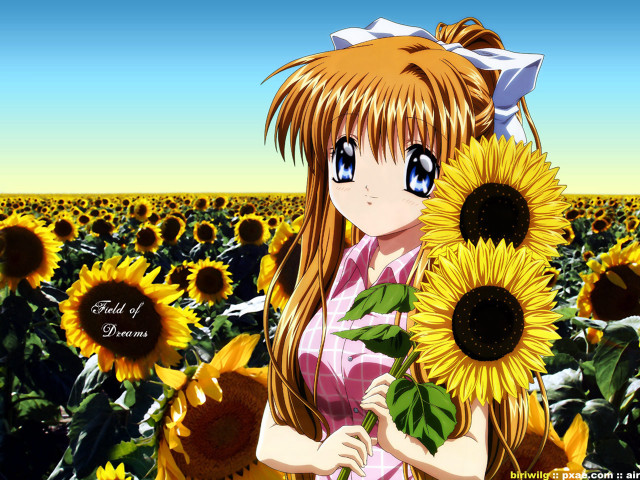 Girl sunflowers field anime bouquet free wallpaper for desktop - medium preview image