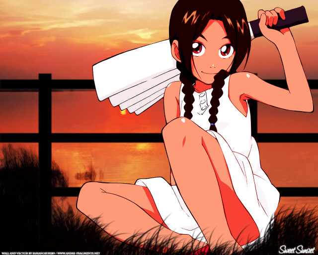 Girl white dress fence braids free wallpaper for desktop - medium preview image