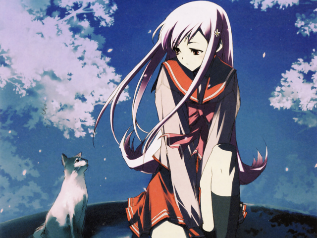 Girl cat hanami spring sky free wallpaper for desktop - medium preview image