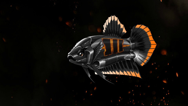 Orange striped fish floating black free wallpaper for desktop - medium preview image