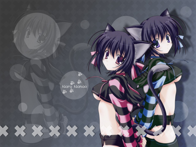 Anime girls hugging cat gothic free wallpaper for desktop - medium preview image