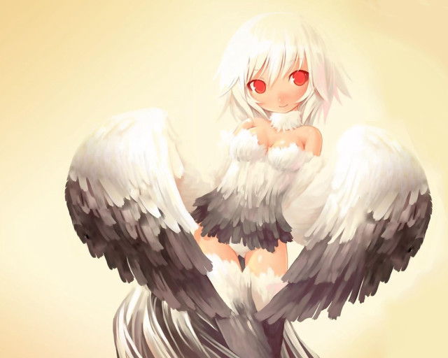 Angel wings white harpy red free wallpaper for desktop - medium preview image