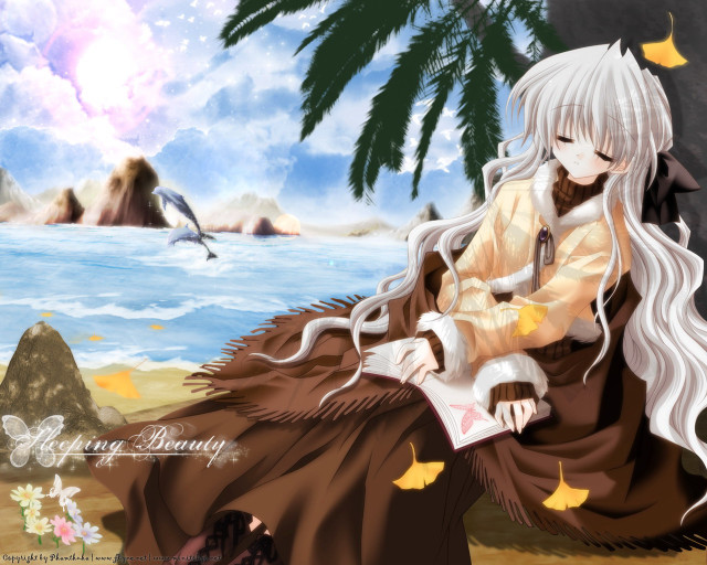 Beach woman palm tree bird free wallpaper for desktop - medium preview image