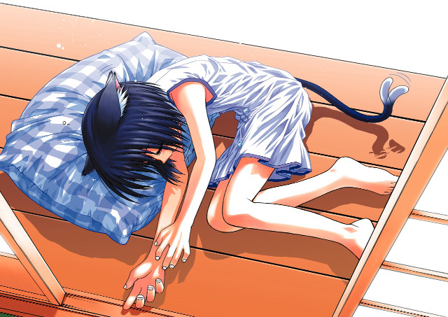 Furry anime cat bench sleeping free wallpaper for desktop - medium preview image