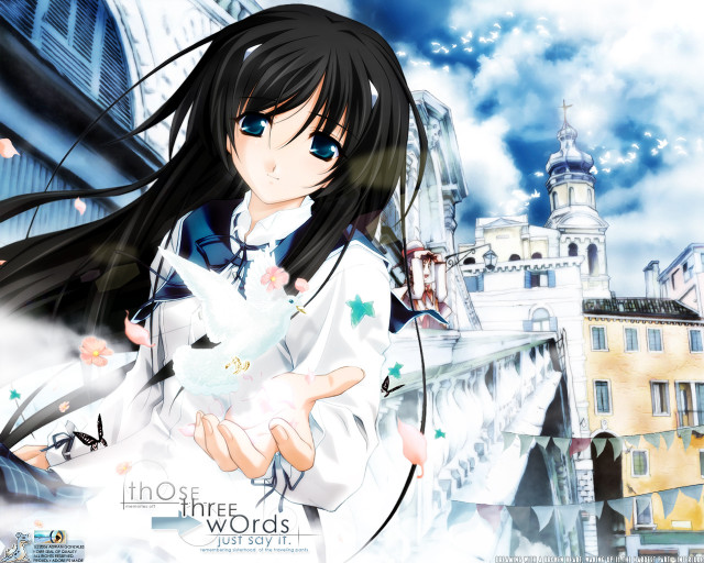 Anime girl white cat cityscape free wallpaper for desktop - medium preview image
