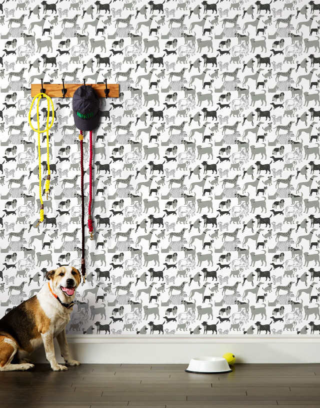 Dog sitting floor wall clock free wallpaper for mobile - medium preview image