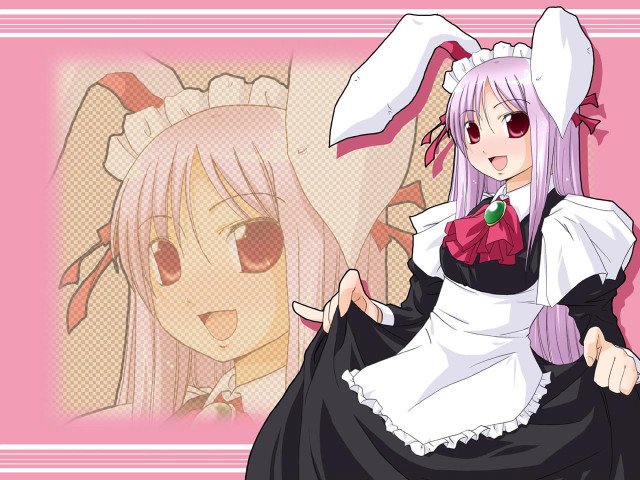 Pink bunny costume white rabbit free wallpaper for desktop - medium preview image