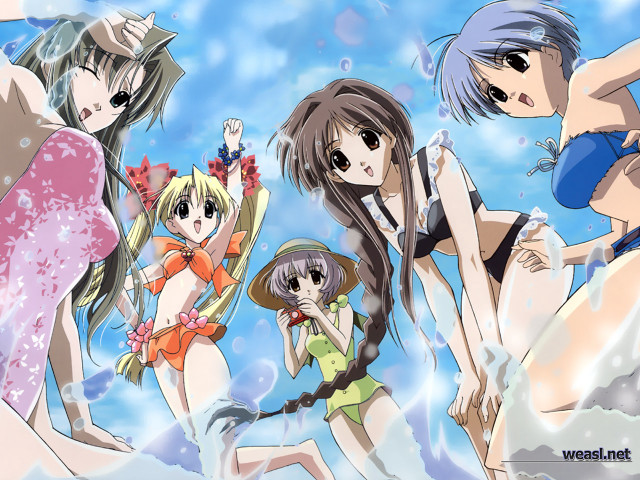 Girls beachflower anime splash water free wallpaper for desktop - medium preview image
