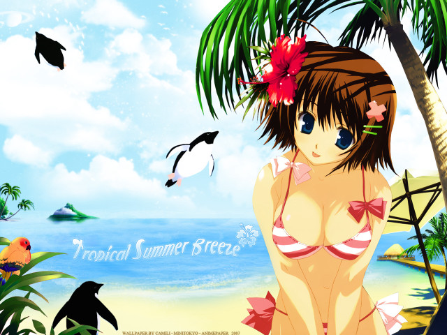 Beach girl bikini bird anime free wallpaper for desktop - medium preview image