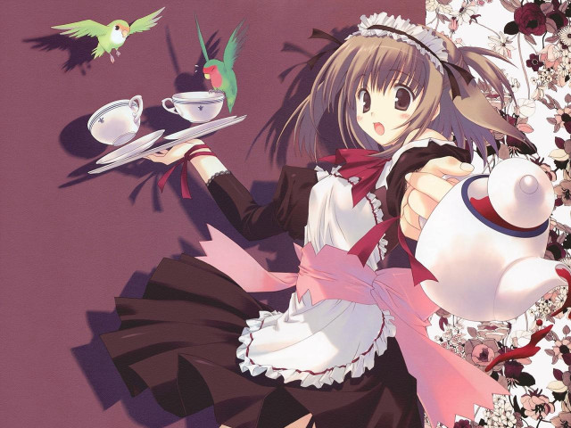 Alice prin maid bird tea free wallpaper for desktop - medium preview image