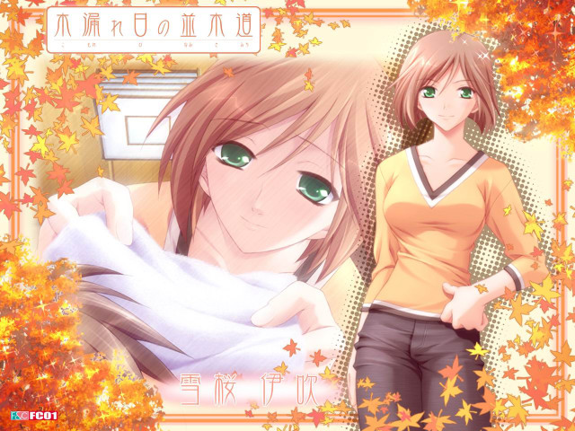 Green eyes brown hair autumn #2 free wallpaper for desktop - medium preview image