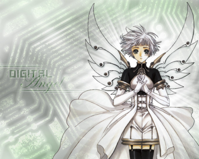 Anime whitehair wings greenbackground angel free wallpaper for desktop - medium preview image