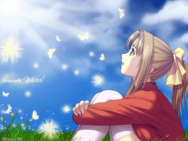 Girl butterflies sky grass anime free wallpaper for desktop - medium preview image