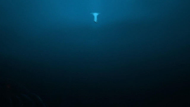 Person surfboard water dark blue free wallpaper for desktop - medium preview image