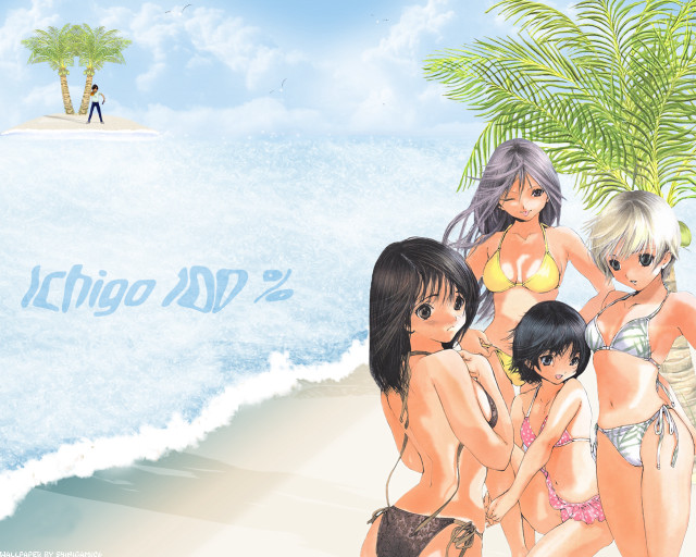 Beach girls bikini palm tree free wallpaper for desktop - medium preview image
