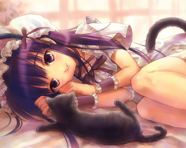 Girl cat lying anime gothic free wallpaper for desktop - medium preview image
