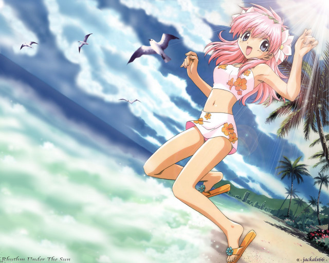Beach girl flying bird sunlight free wallpaper for desktop - medium preview image