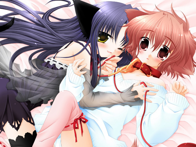 Anime girls hugging cat ears free wallpaper for desktop - medium preview image