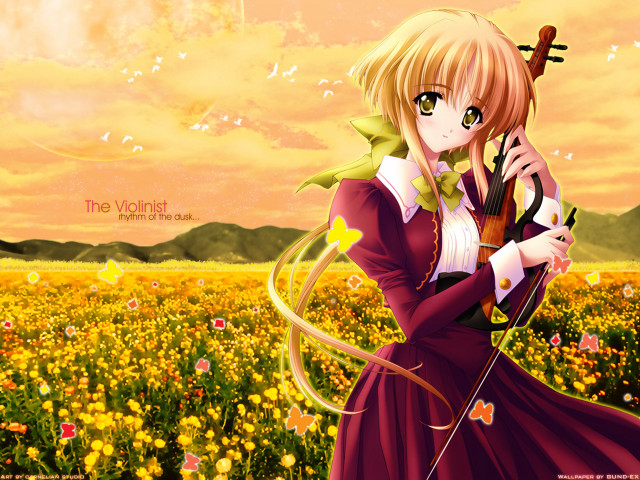 Woman field violin autumn anime free wallpaper for desktop - medium preview image
