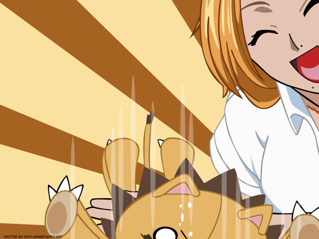 Woman cat table lap ground free wallpaper for desktop - medium preview image