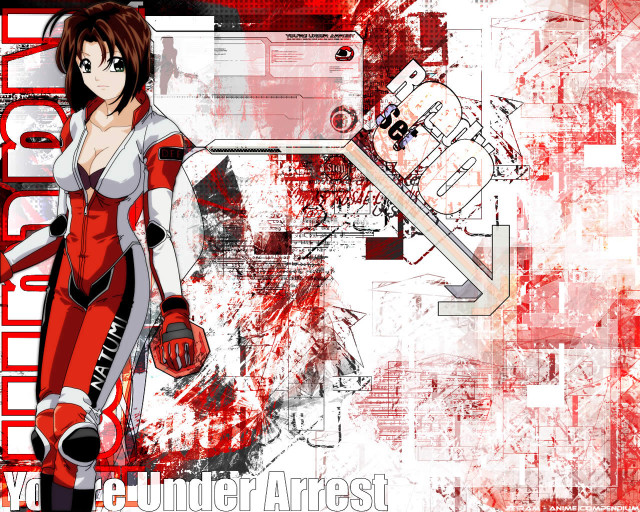 Red blooded helmeted girl anime free wallpaper for desktop - medium preview image