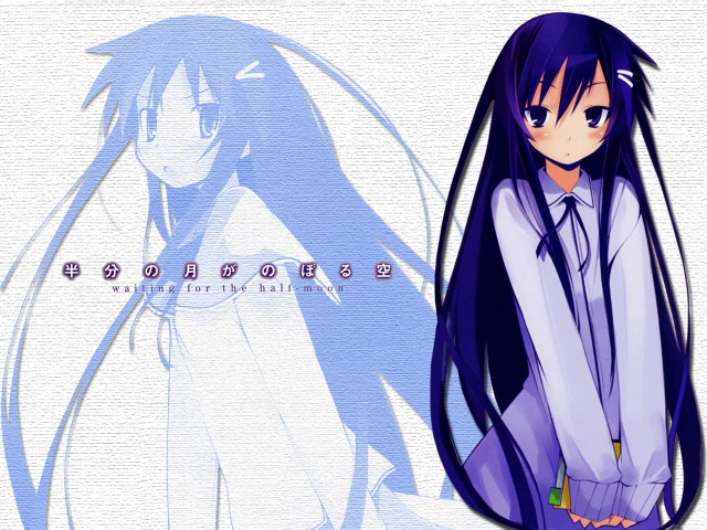 Anime longhair purpleoutfit blush blueeyes free wallpaper for desktop - medium preview image