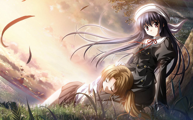 Anime couple field sunset tree free wallpaper for desktop - medium preview image