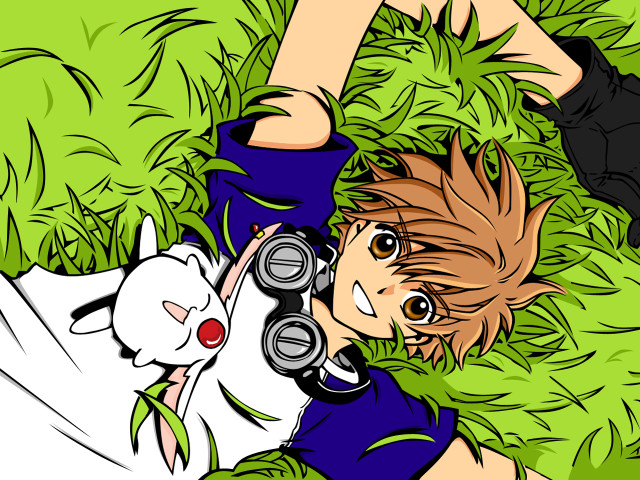 Boy grass camera cat anime free wallpaper for desktop - medium preview image