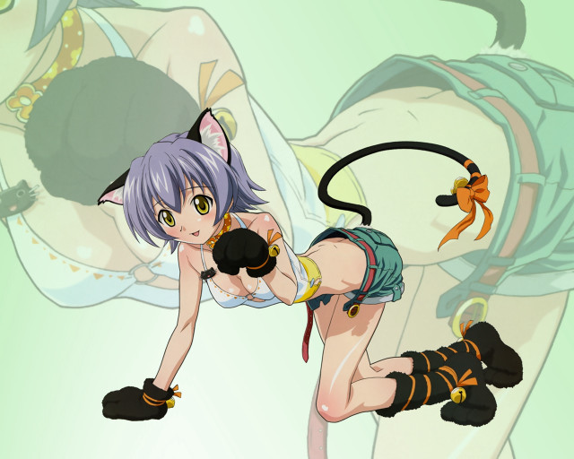 Cartoon catgirl eizan kikukawa yayoi free wallpaper for desktop - medium preview image