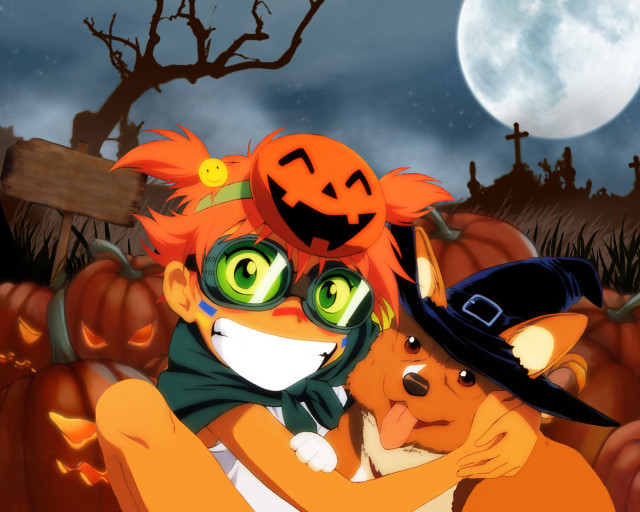 Pumpkins fullmoon couple animals halloween free wallpaper for desktop - medium preview image
