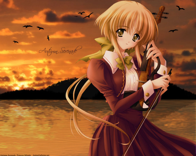 Woman dress violin sunset birds free wallpaper for desktop - medium preview image