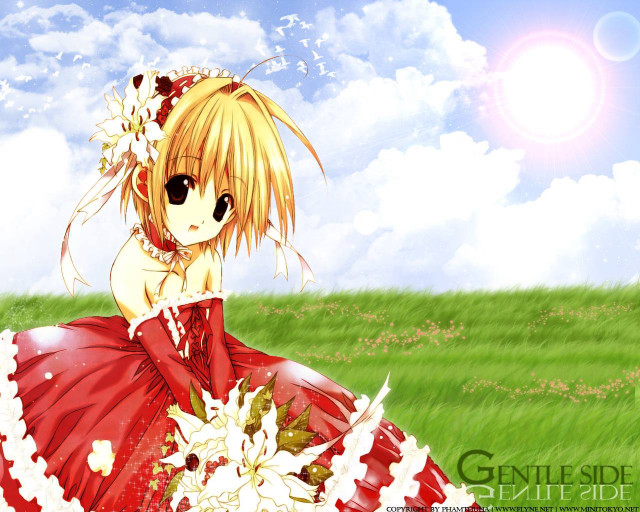 Girl red dress field flower free wallpaper for desktop - medium preview image