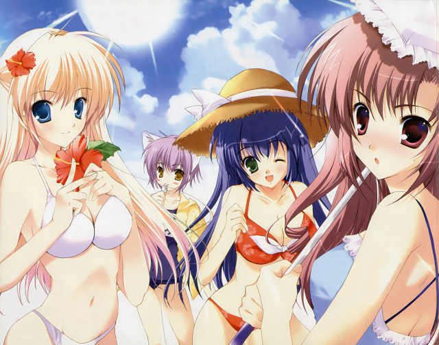 Sky beach girls hats bikinis free wallpaper for desktop - medium preview image