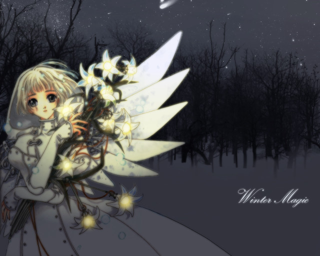 Fairy bouquet snow night stars free wallpaper for desktop - medium preview image