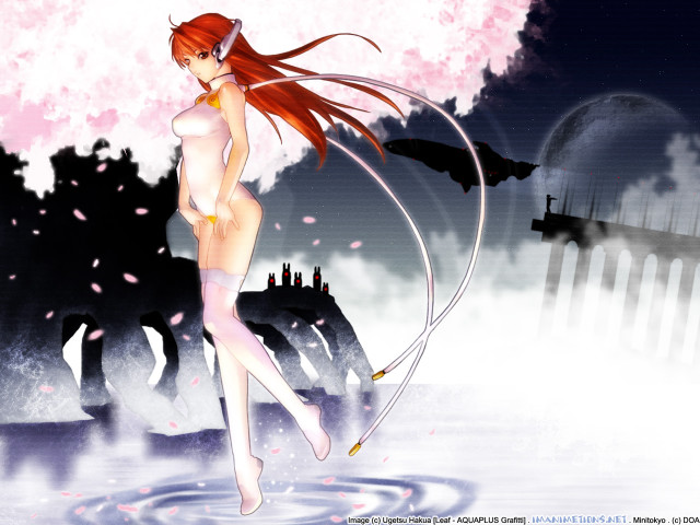 Woman cat water cherry blossoms free wallpaper for desktop - medium preview image