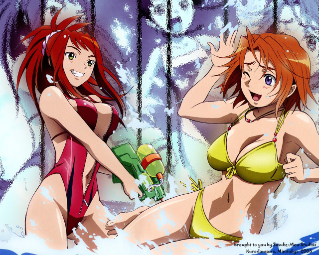 Two women bikinis water beer free wallpaper for desktop - medium preview image