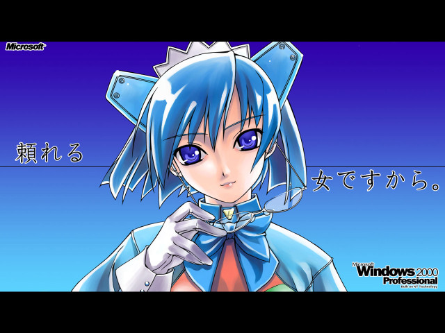 Anime bluehair cat ears windows free wallpaper for desktop - medium preview image