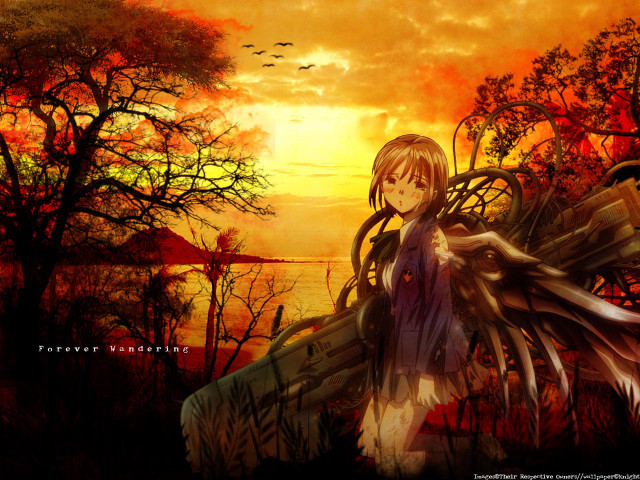 Anime girl long hair bird #2 free wallpaper for desktop - medium preview image