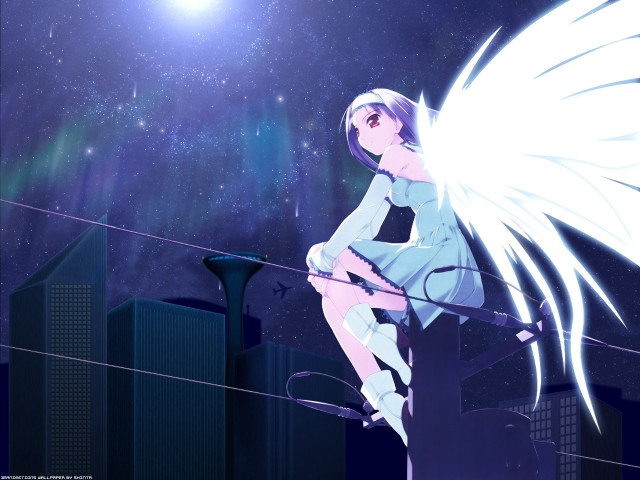 Girl wings night sky city free wallpaper for desktop - medium preview image