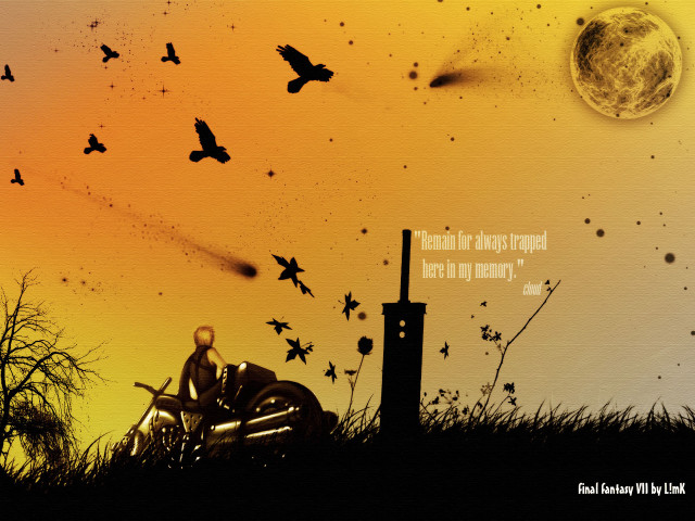 Man motorcycle grass sunset birds free wallpaper for desktop - medium preview image