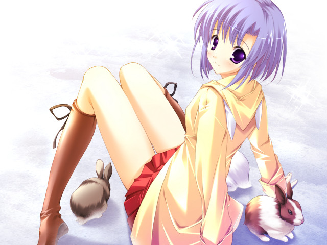 Yellow coat bunny snow anime free wallpaper for desktop - medium preview image